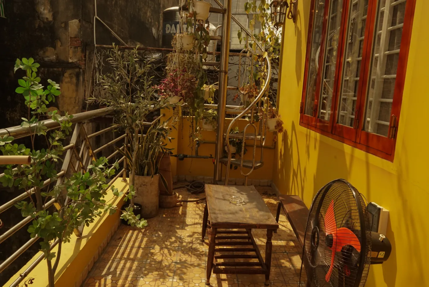 Homestay Quận 5 — The Garden - Q5 — ảnh 7